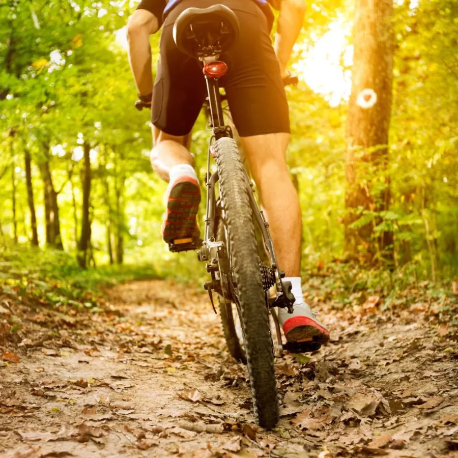 VTT & E-Bike — Evolène